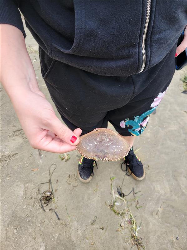 Student investigates marine biology